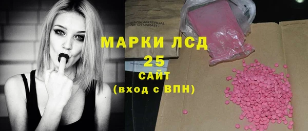 шишки Пересвет