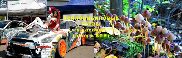 твердый Алексеевка