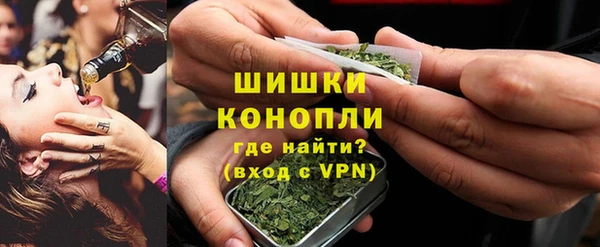 шишки Ветлуга