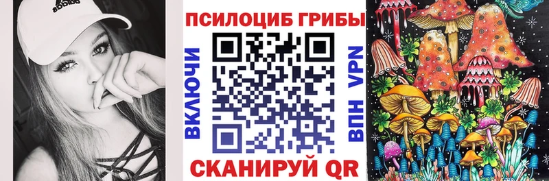 мега онион  Лебедянь  Псилоцибиновые грибы Psilocybine cubensis 